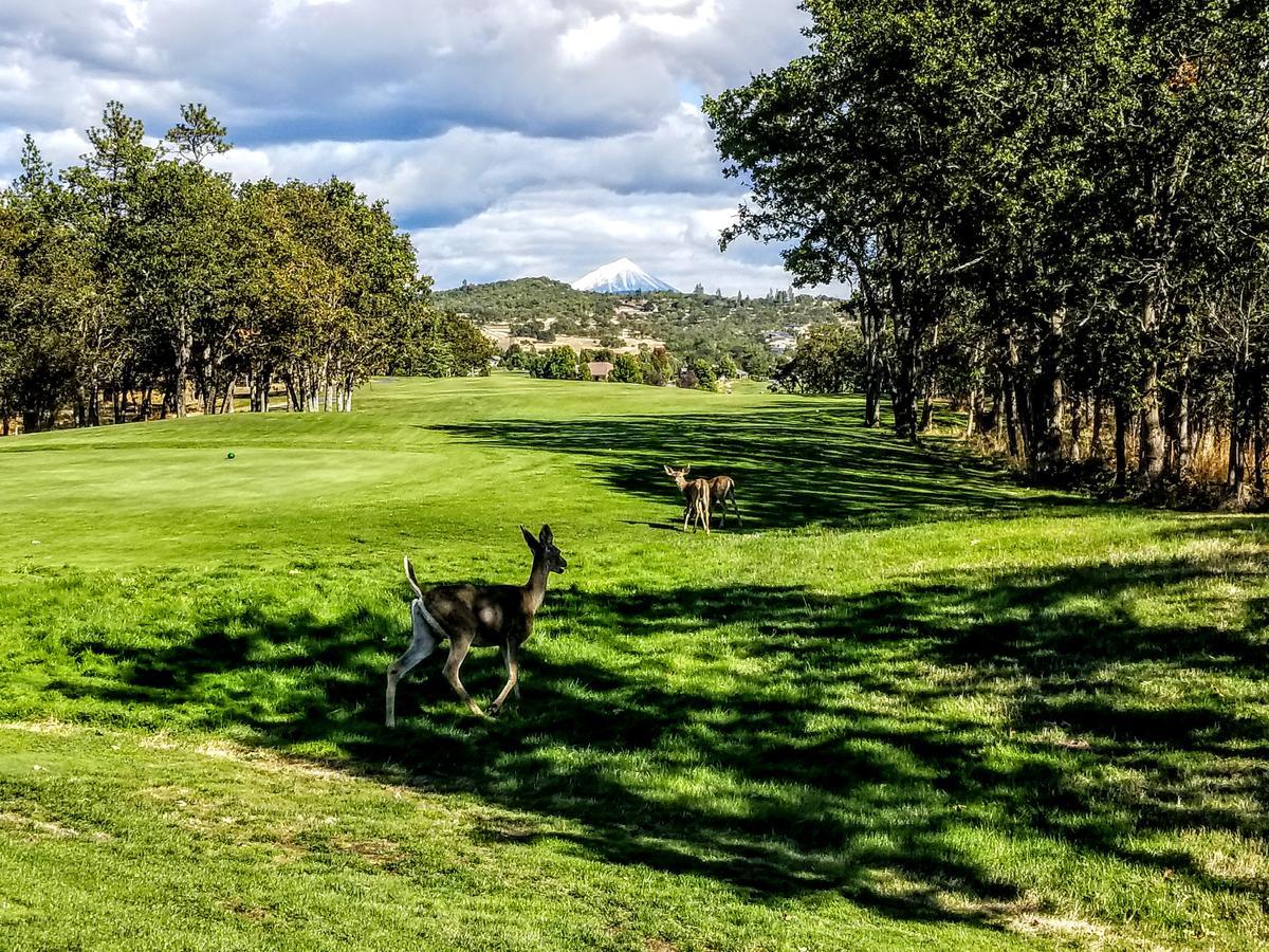 Resort At Eagle Point Golf Club Lodging Dış mekan fotoğraf